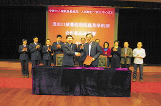 寧波企業網站建設 數字化時代的發展引擎